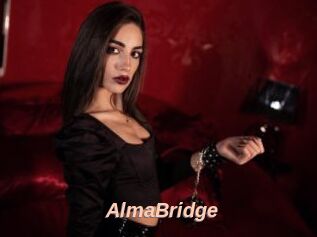 AlmaBridge