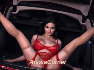 AnisiaCorner