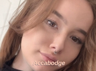 Accabodge