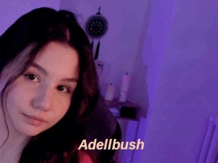 Adellbush