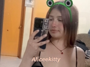 Aliceekitty