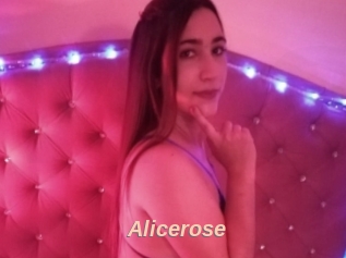 Alicerose