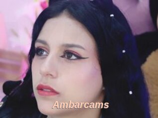 Ambarcams