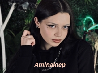 Aminaklep