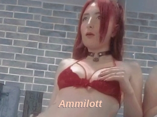 Ammilott