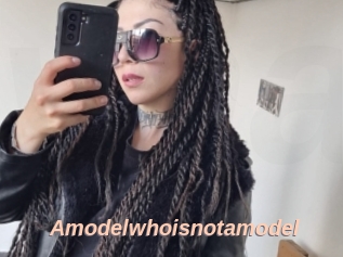 Amodelwhoisnotamodel