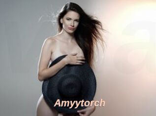 Amyytorch