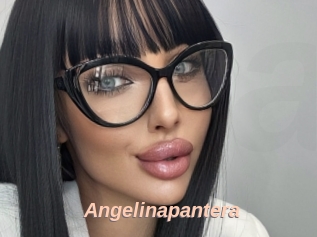 Angelinapantera