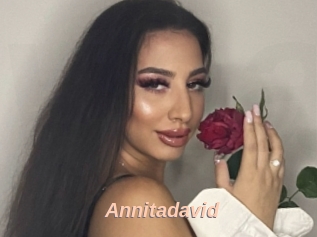 Annitadavid