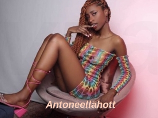 Antoneellahott