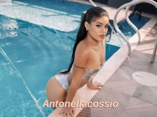 Antonellacossio