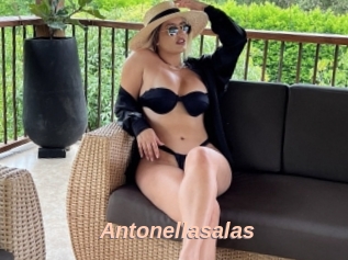 Antonellasalas