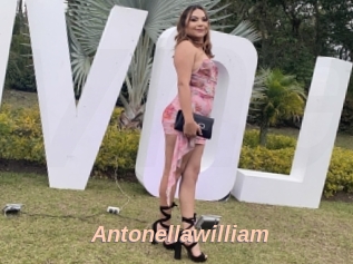 Antonellawilliam