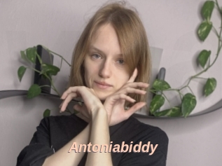 Antoniabiddy