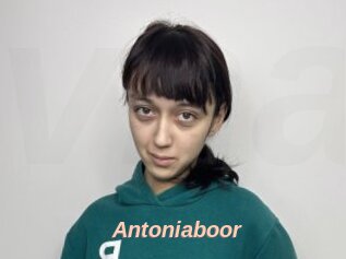 Antoniaboor