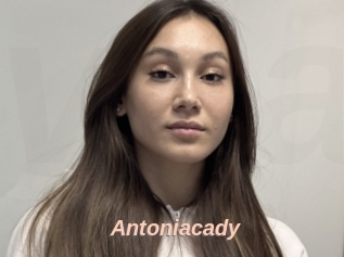 Antoniacady