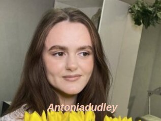 Antoniadudley