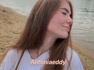 Antoniaeddy