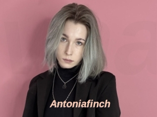 Antoniafinch