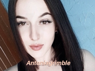 Antoniagrimble