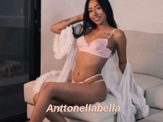 Anttonellabella