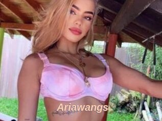 Ariawangs