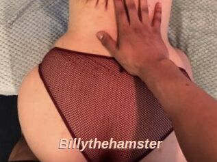 Billythehamster