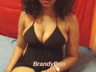 BrandyBoo