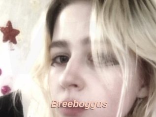 Breeboggus