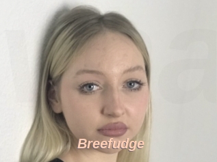 Breefudge