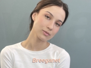 Breeganet