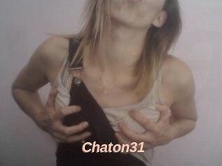 Chaton31