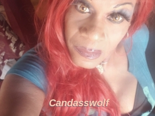 Candasswolf