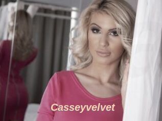 Casseyvelvet