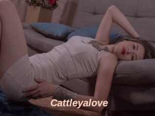 Cattleyalove