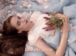 DreamSleep