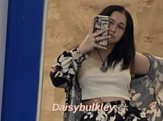 Daisybulkley