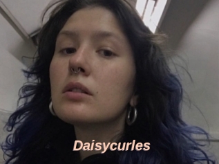 Daisycurles