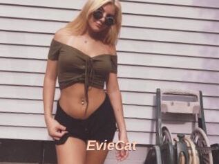 EvieCat