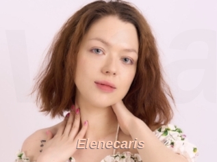 Elenecaris