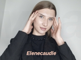 Elenecaudle