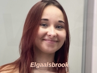 Elgaalsbrook