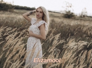 Elizamool