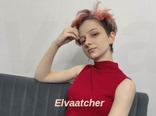 Elvaatcher