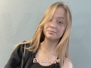 Elvabigge