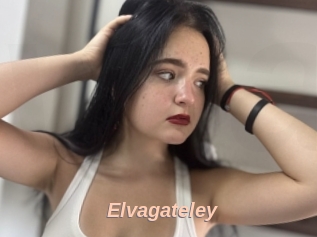 Elvagateley