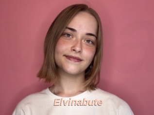 Elvinabute