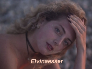 Elvinaesser