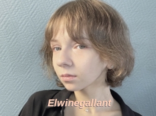 Elwinegallant