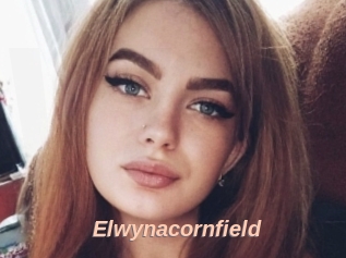 Elwynacornfield